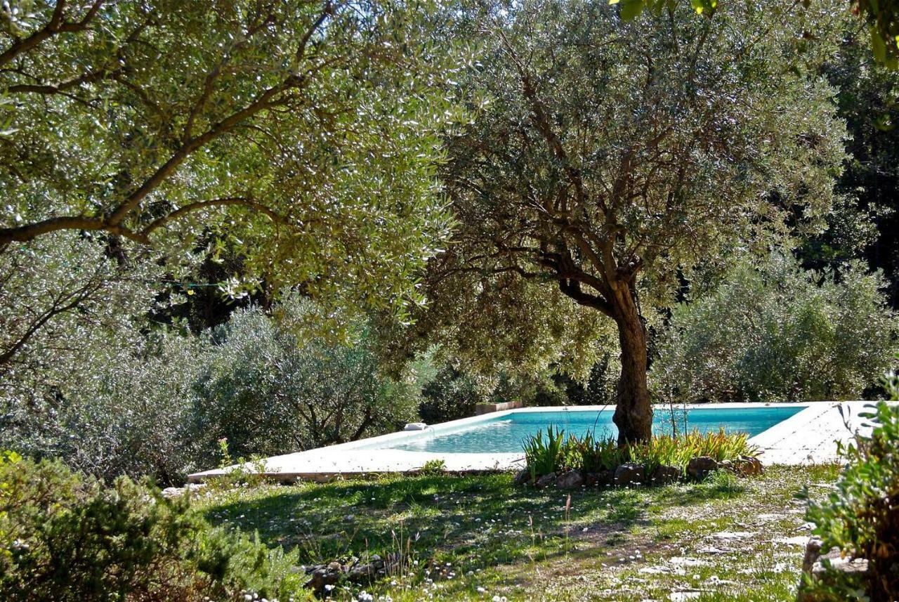 Le Rayol Villa เซญองส์ ภายนอก รูปภาพ